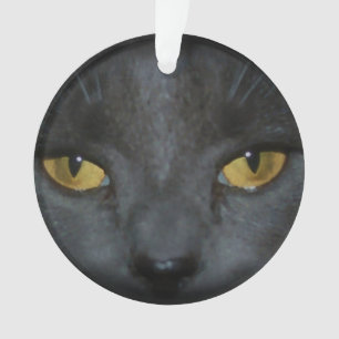 Adorable Grey Kitty Cat Personalised Ornament