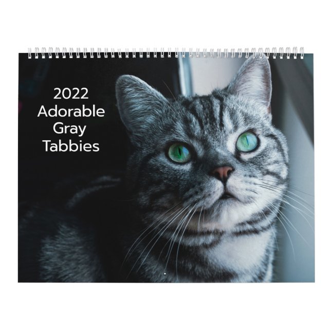 Adorable Grey Tabbies 2022 Calendar (Cover)