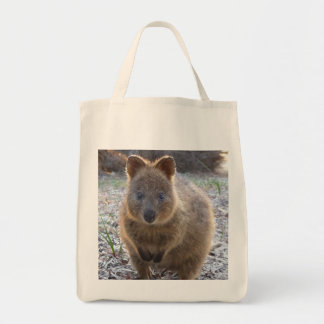 Adorable Grocery Tote