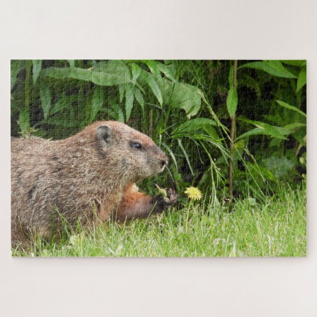 Adorable Groundhog Picking Flowers Jigsaw Puzzle (Horizontal)