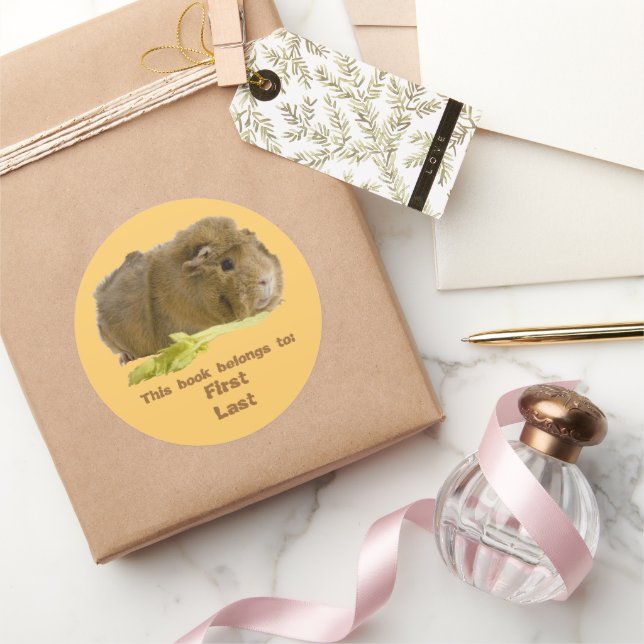 Adorable Guinea Pig Eating Celery Photography Classic Round Sticker (Gifting)