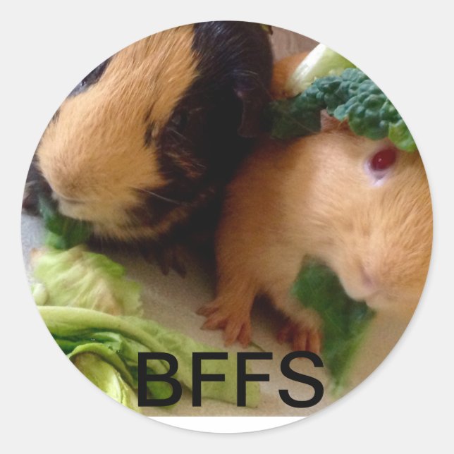 Adorable Guinea Pigs BFF Stickers (Front)