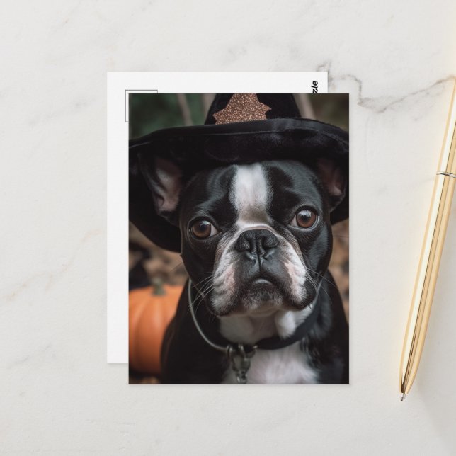 Adorable Halloween Boston Terrier Postcard (Front/Back In Situ)