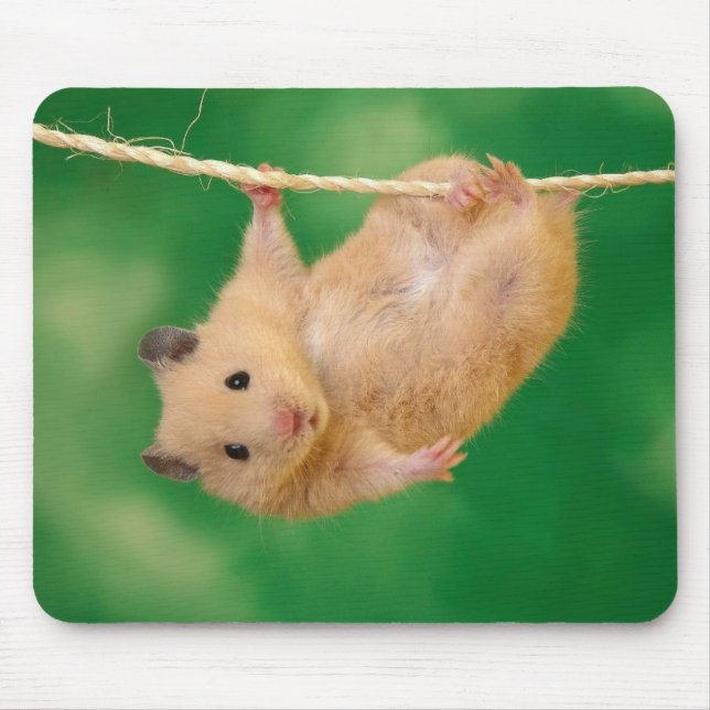 Adorable hamster mousepad (Front)