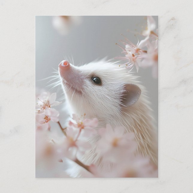 Adorable Hedgehog Among Spring Blossoms  Postcard (Front)