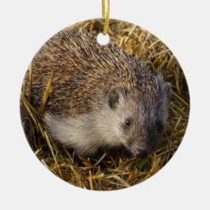 Adorable Hedgehog In Stubble Field Ceramic Ornament