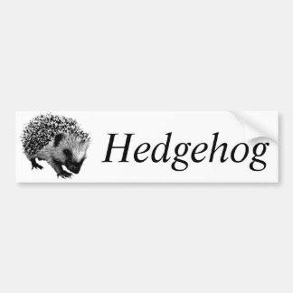 Adorable Hedgehog. Wildlife Digital Engraving Bumper Sticker