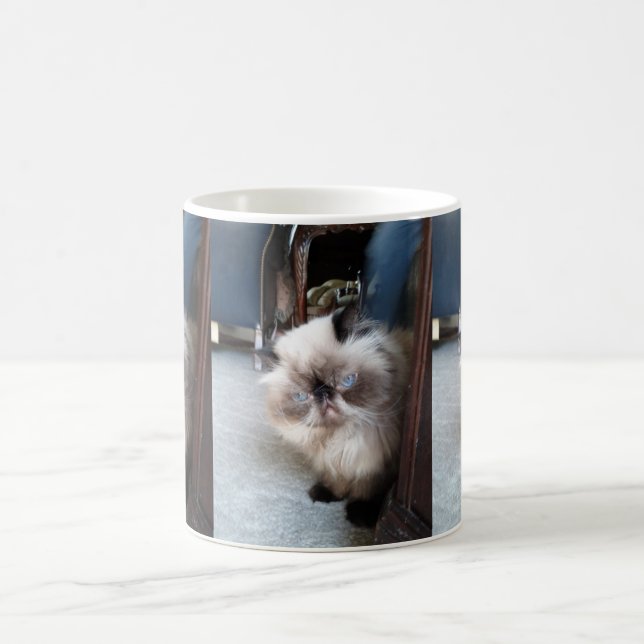 Adorable Himalayan Persian Cat Coffee Mug (Center)