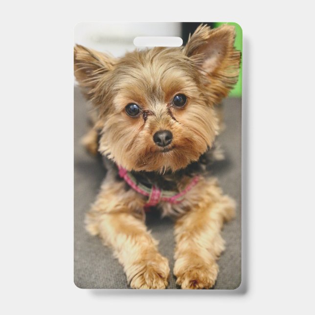 Adorable ID Badge (Front)