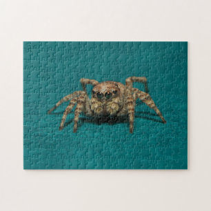 Adorable Jumping Spider Animal Photography Jigsaw Puzzle
