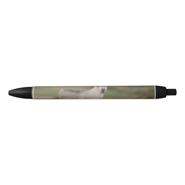 Adorable Kid Goat Black Ink Pen (Front)