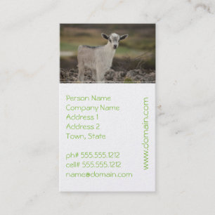 Adorable Kid Goat Business Card