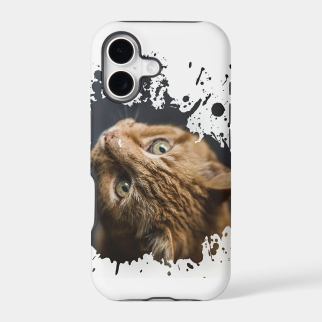 Adorable Kitten (Back)