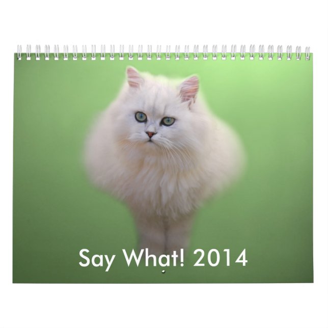 Adorable Kitten Calendar (Cover)