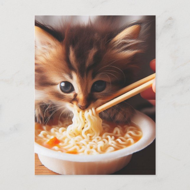 Adorable  Kitten Eating Noodles Postcard (Front)