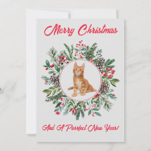 Adorable Kitten Flat Holiday Card