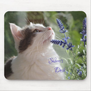 Adorable Kitten In the Garden *personalise* Mouse Pad