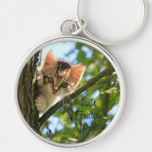 Adorable Kitten. Is it Friday Yet? Key Ring