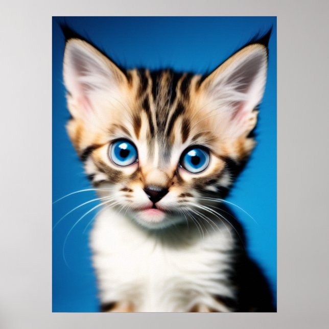 Adorable Kitten Portrait with Beautiful Blue Eyes Poster (Front)