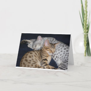 ADORABLE KITTENS CARD