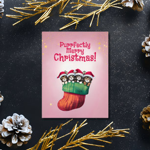 Adorable Kittens in Stocking Festive Christmas Holiday Card