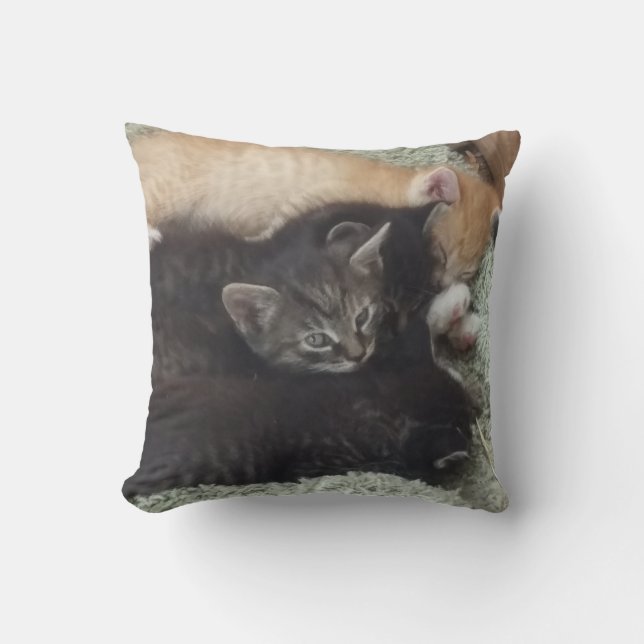 Adorable Kittens Pillow (Front)