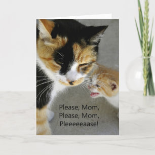 Adorable Kitty Happy Mother's Day Card