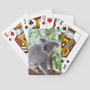 Adorable Koala Bear Tree Green Leaves Wildlife Playing Cards