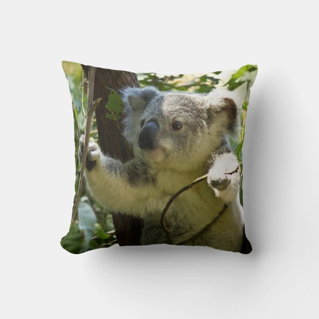 Adorable Koala In Eucalyptus Tree Throw Cushion (Front)