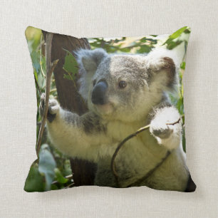 Adorable Koala In Eucalyptus Tree Throw Cushion