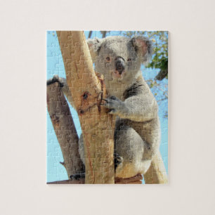 Adorable Koala Puzzle - Australian Wildlife