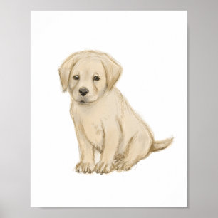 Adorable labrador puppy sketch poster