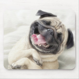 Adorable Laughing Pug design Mouse Pad