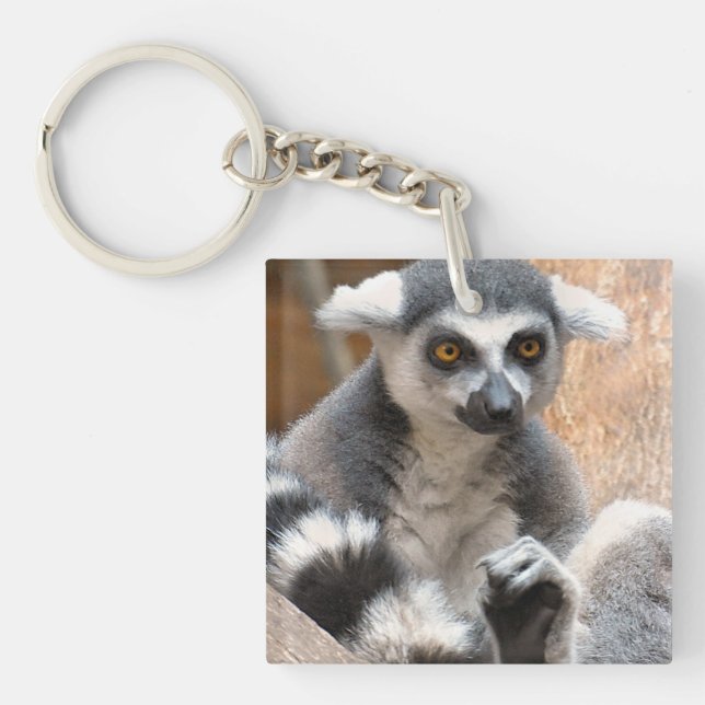 Adorable Lemur Key Ring (Front)
