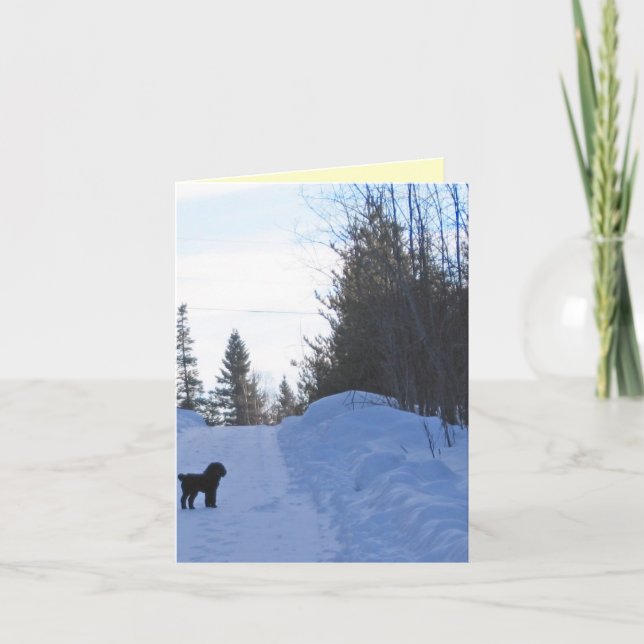 Adorable Little Dog Note Card (Front)