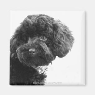 Adorable Loving Friend Magnet