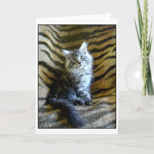 Adorable Maine Coon kitten greeting card (Front)