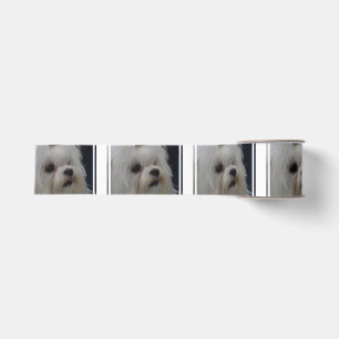 Adorable Maltese Grosgrain Ribbon