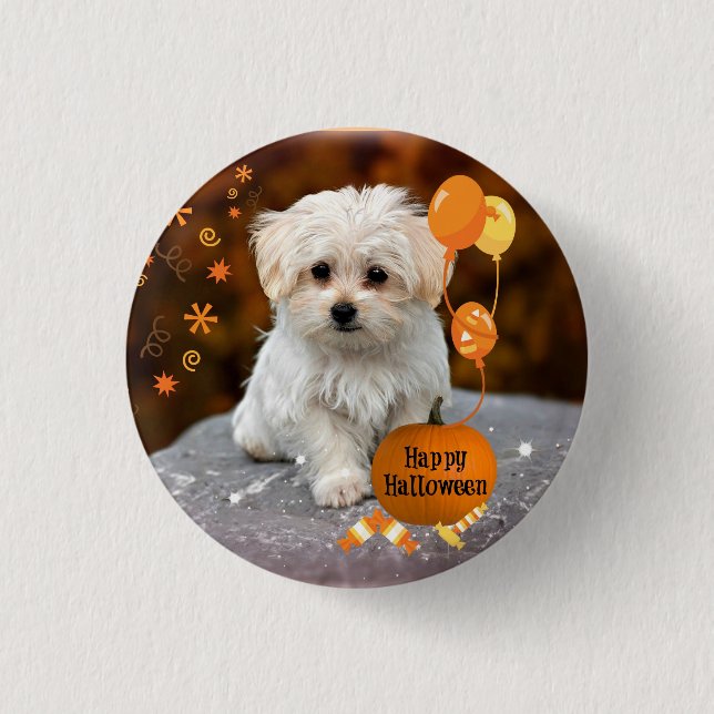 Adorable maltese puppy celebrates Halloween 3 Cm Round Badge (Front)