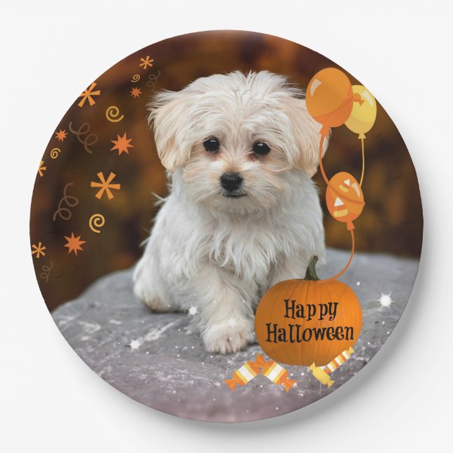 Adorable maltese puppy celebrates Halloween Paper Plate (Front)