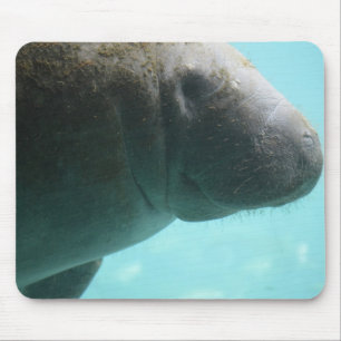 Adorable Manatee Swimming Mouse Pad