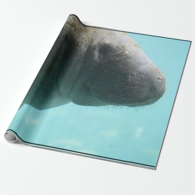 Adorable Manatee Swimming Wrapping Paper (Unrolled)