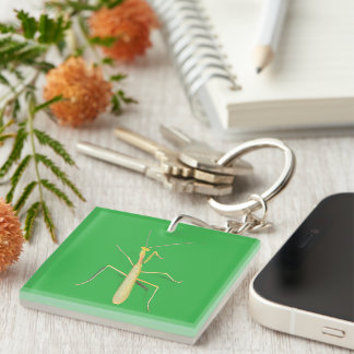 Adorable Mantis Key Ring