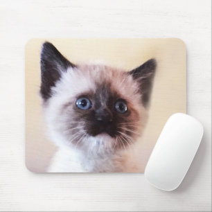Adorable Masked Blue Eyed Siamese Kitten Close-Up Mouse Pad
