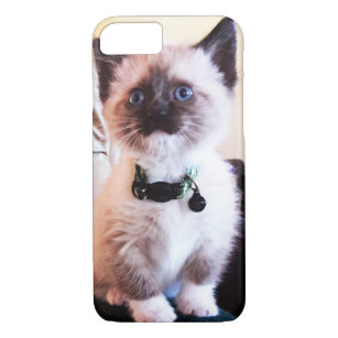 Adorable Masked Blue Eyed Siamese Kitten Photo Case-Mate iPhone Case