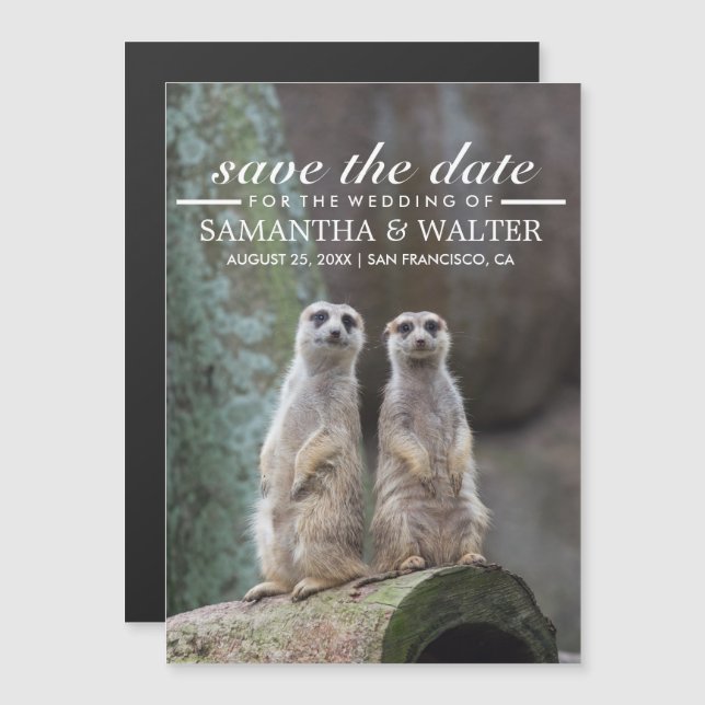 Adorable Meerkats Funny Expression Save The Date Magnetic Invitation (Front/Back)