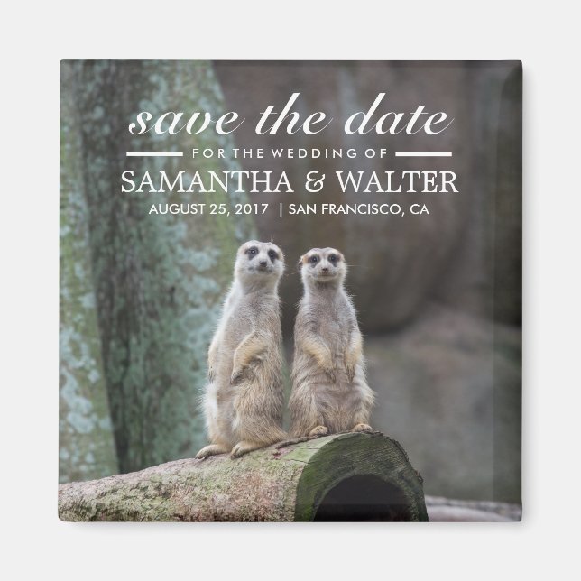 Adorable Meerkats Save The Date Magnet (Front)