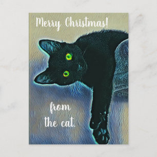 Adorable Merry Christmas Greetings from Black Cat Postcard