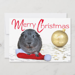 Adorable Merry Christmas Guinea Pig Gold Ornament Holiday Card