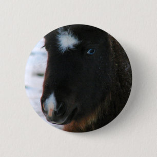 Adorable Mini Horse Filly 6 Cm Round Badge